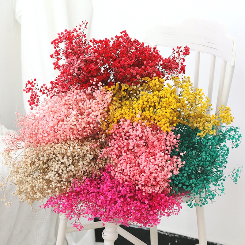 100g/50g Dried Preserved Baby Breath Flower Bouquet Gypsophila Plant Home Living Wedding Deco