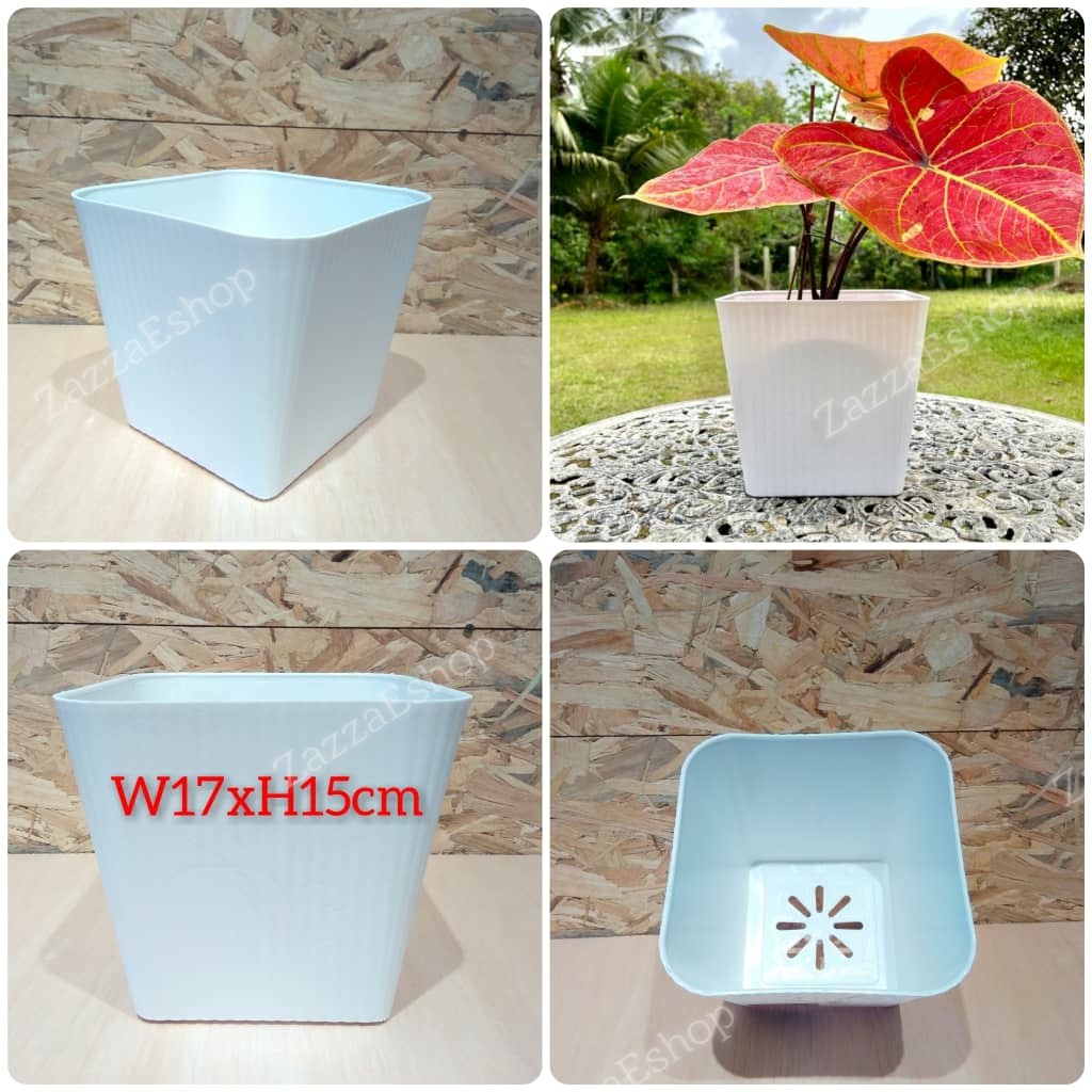 Pasu Putih Petak W17xH15cm | Shopee Malaysia