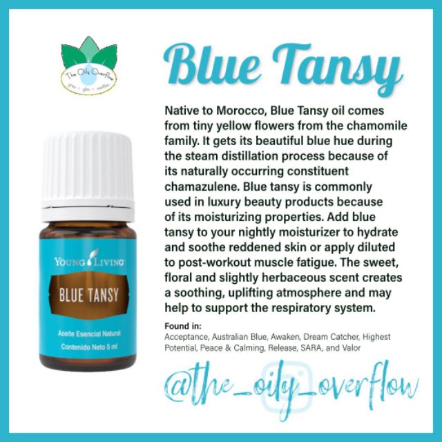 Blue tansy young deals living