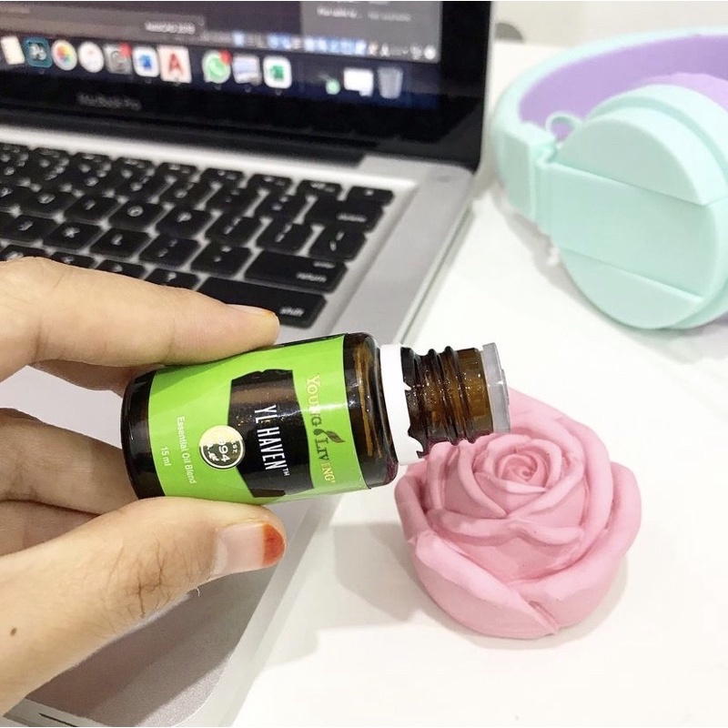 Rose 3D Aromastone for desk essential oils Young living diffuser air ...