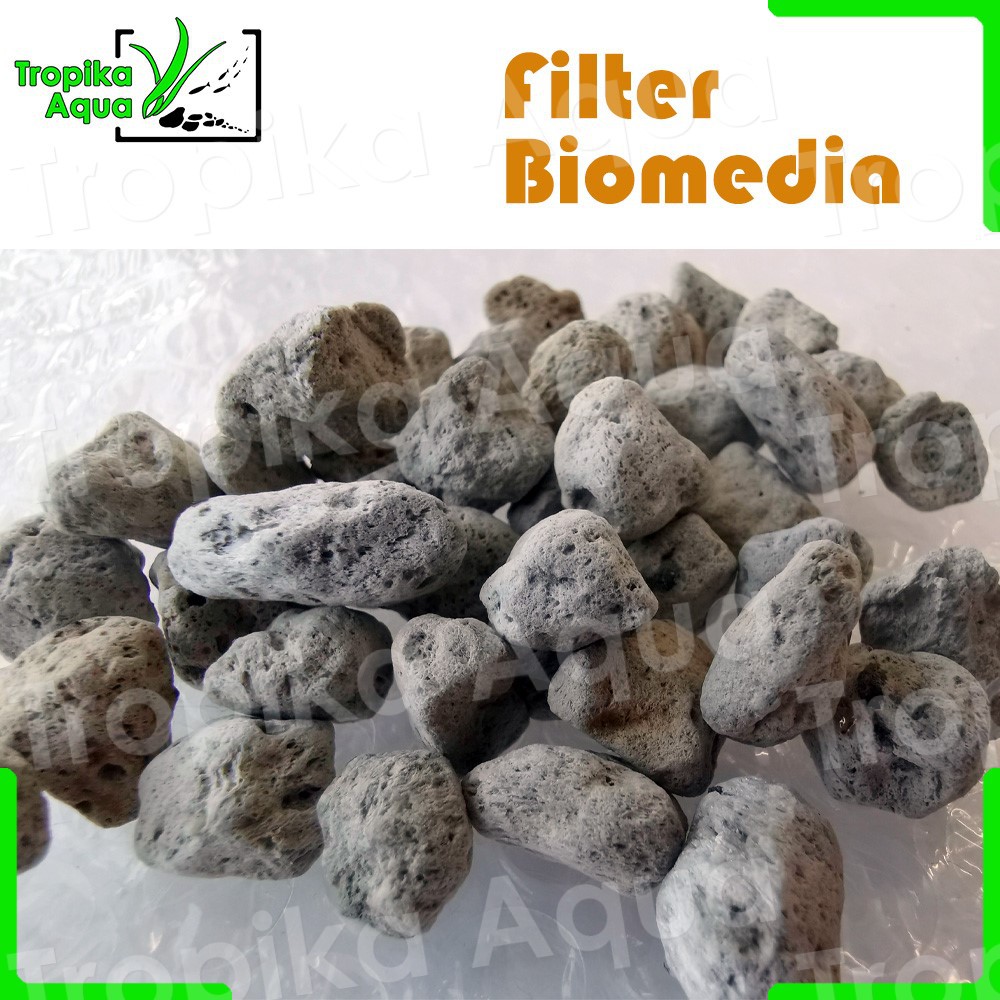 Pumice Stone 1L Filter Media Biomedia Aquarium like Seachem Matrix fish