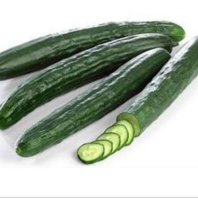 20 biji benih Timun Jepun F1 • Japanese cucumber seeds | Shopee Malaysia