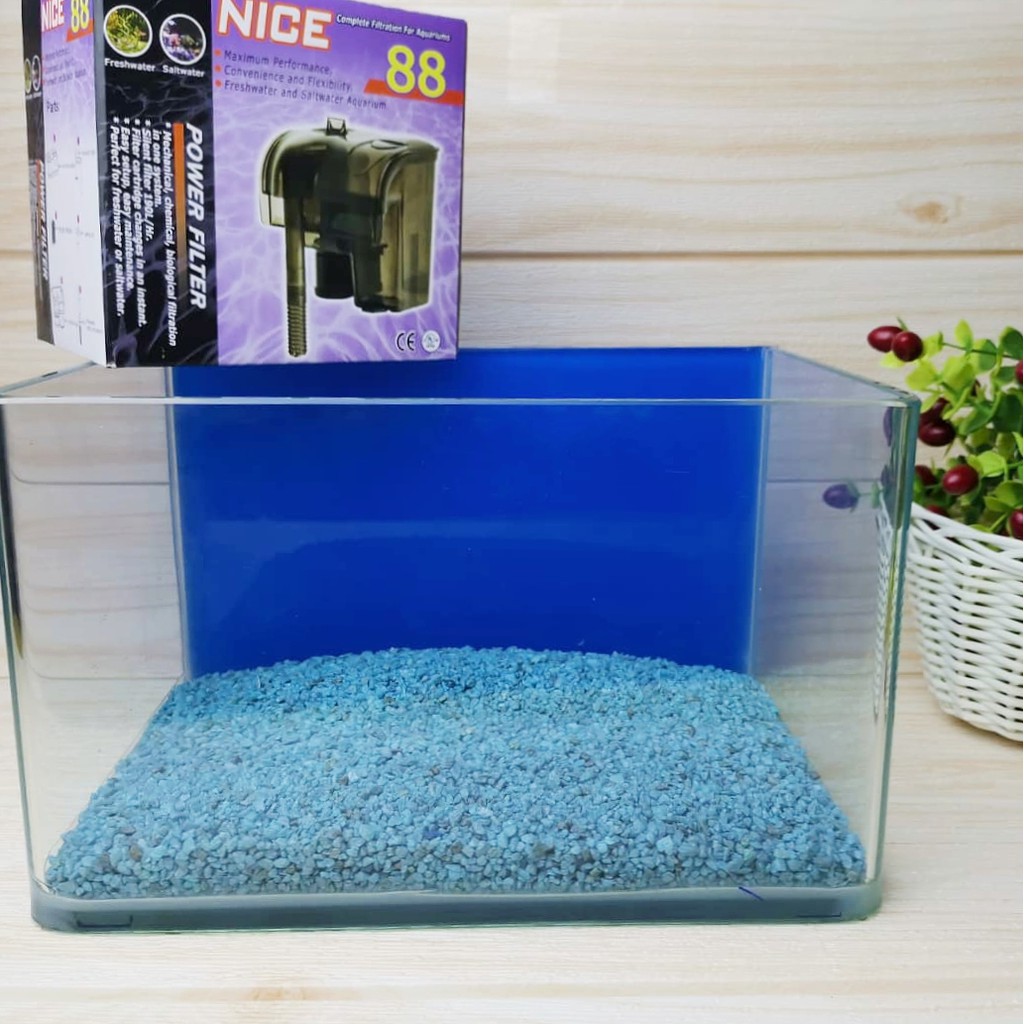 *Desktop Aquarium Set* L Size 5mm Thick Curve Glass Fish Tank Aquarium