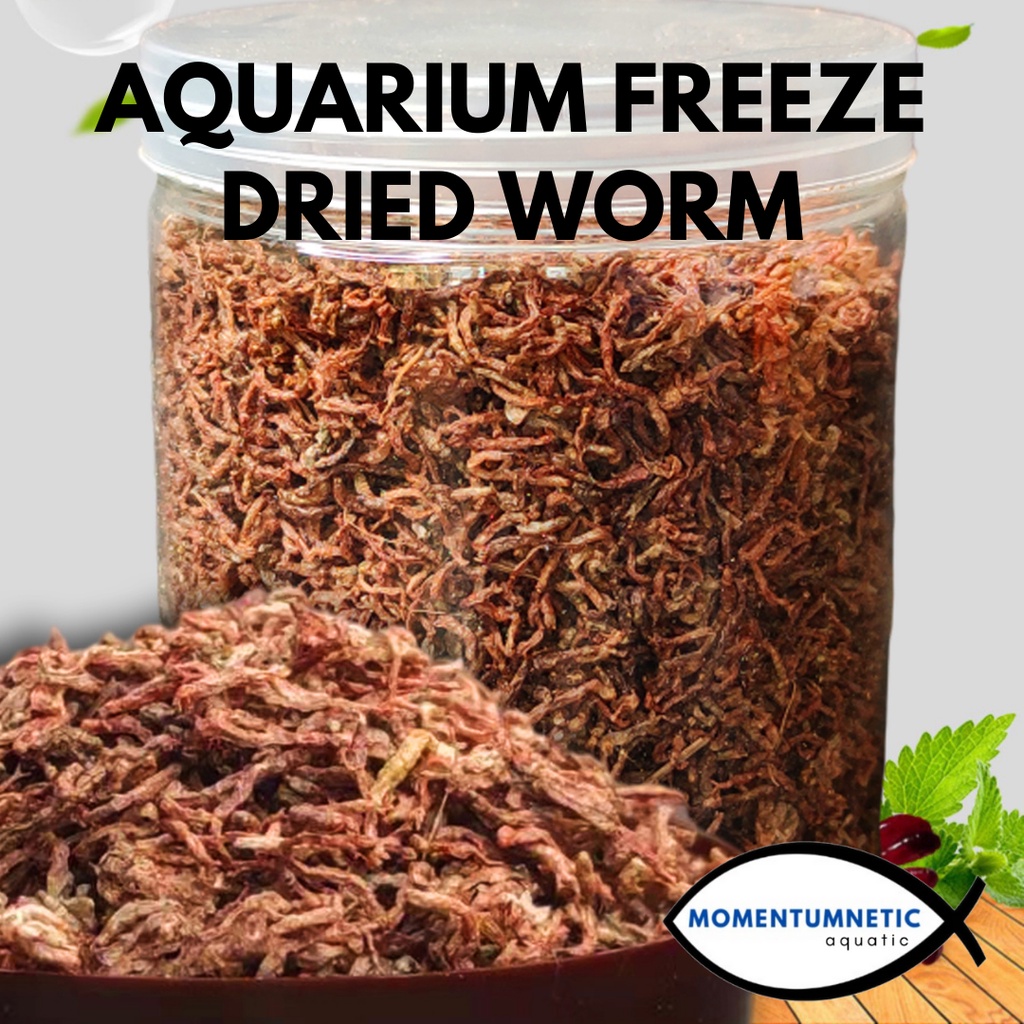 🔥READY STOCK🔥 Aquarium Freeze Dried Worm Dried Blood Worm Aquarium Fish