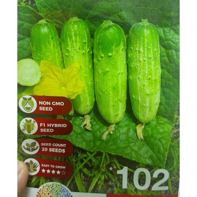 Benih Timun Mini F1 Hybrid (20biji) | Shopee Malaysia