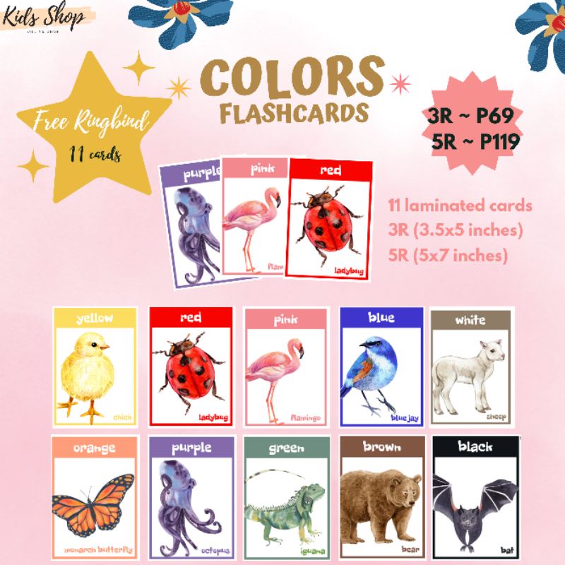 COLORS FULLY LAMINATED EDUCATIONAL FLASHCARDS with Free Ringbind ...