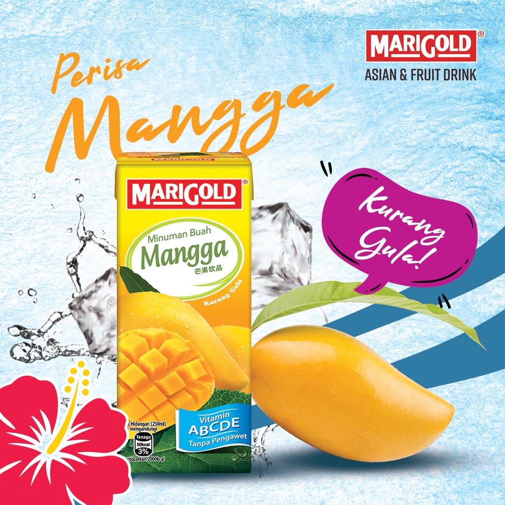 Minuman Kotak Marigold 250ml X 3 Kotak Shopee Malaysia 3787
