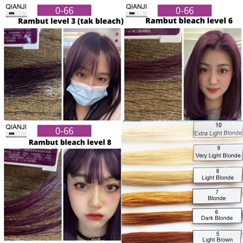 PROFESSIONAL JAPANESE QIANJI/PALA FASHION COLOR DYE CREAM 1000 Shopee