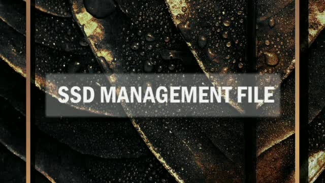 SSD A4 Management File Basic Management File D-320A (Extra Thick ...