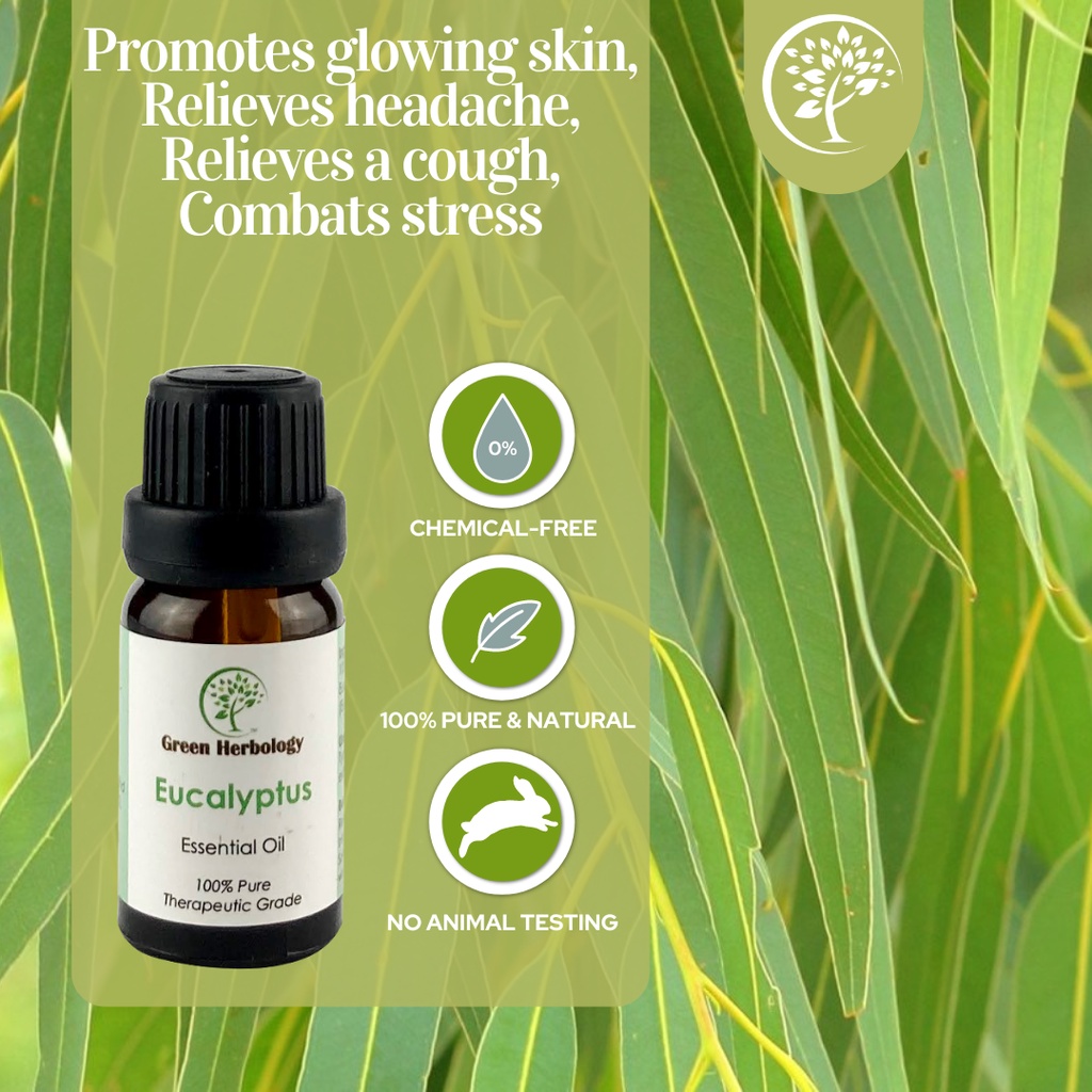 Natural and Pure Eucalyptus Essential Oil Malaysia 5ml Shopee Malaysia