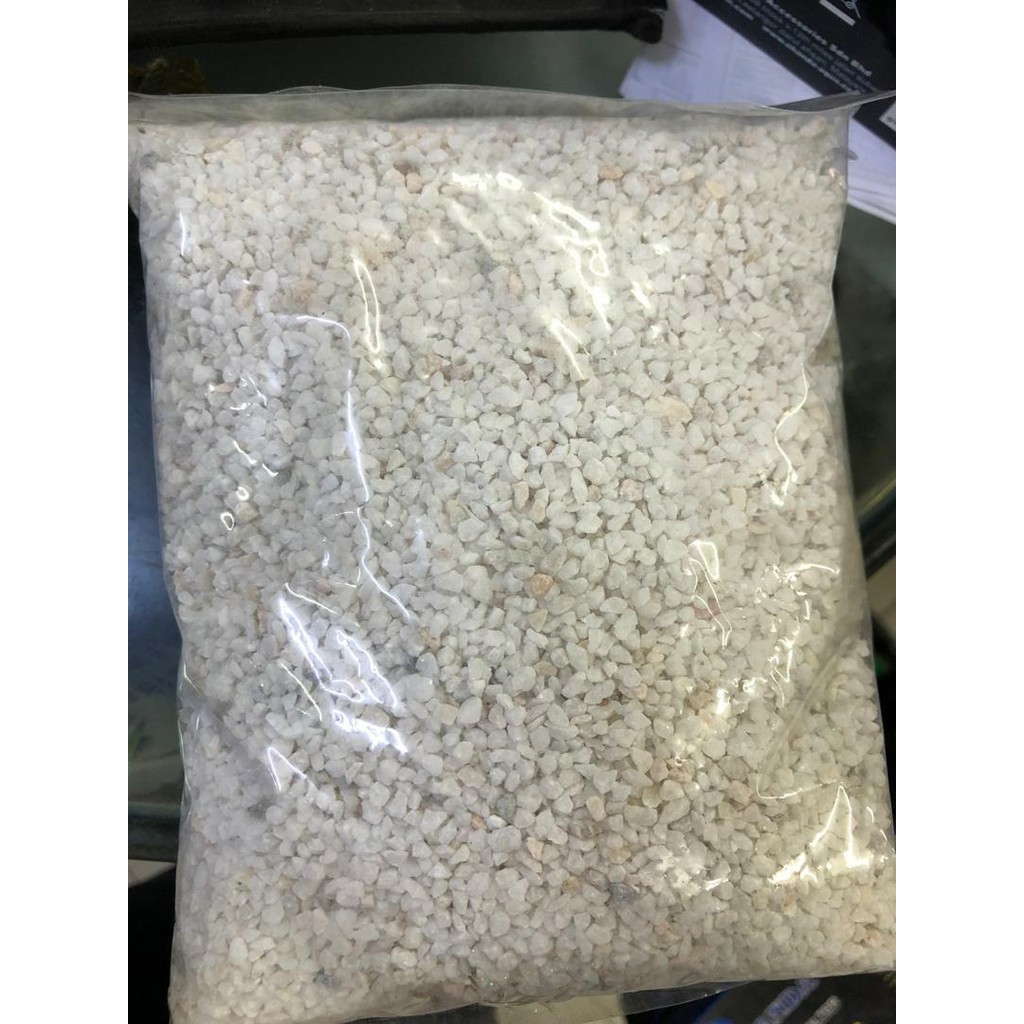 Aquarium White Sand (1kg) Shopee Malaysia