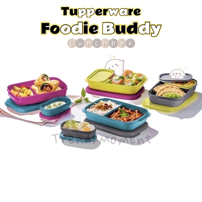 Tupperware Lunch Box/Foodie Buddies