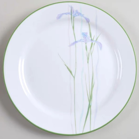 Corelle iris outlet pattern