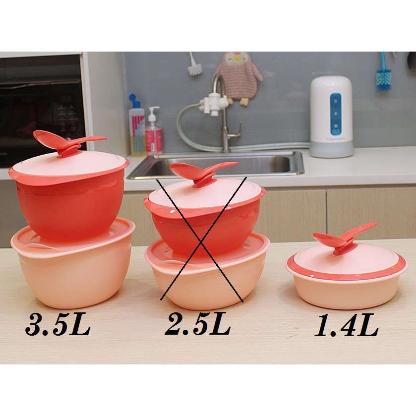 Ready Stock!! Tupperware Insulated Server Coral