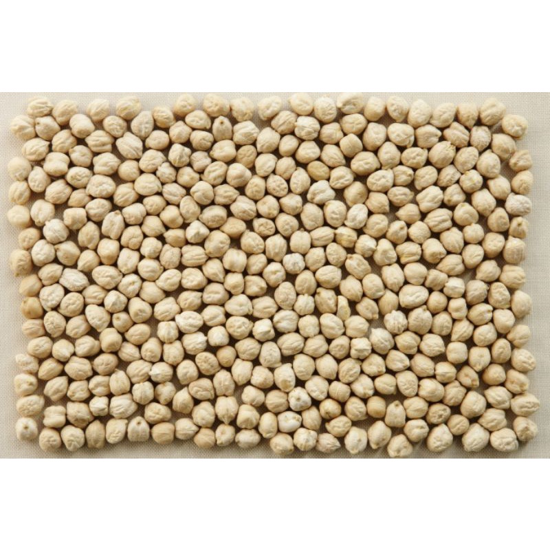 Raw Chickpeas Gred Akacang Kuda Mentah 500g1kg Shopee Malaysia