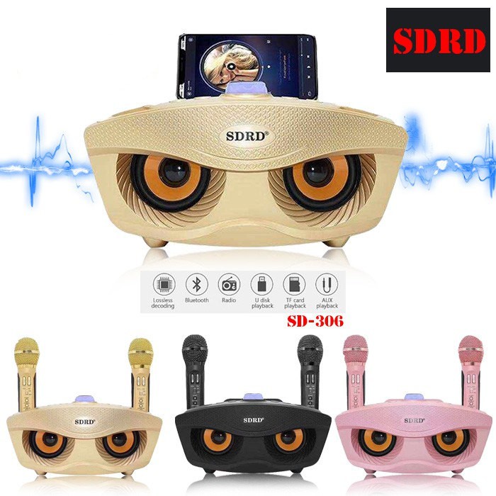 Sd 2025 306 karaoke