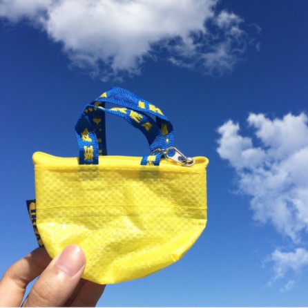 Ready Stock IKEA KNOLIG Bag KNOLIG Bag Keychain Bag with Zip Blue Coin Bag Coin Purse Beg Wallet Small Shopping Bag Shopee Malaysia