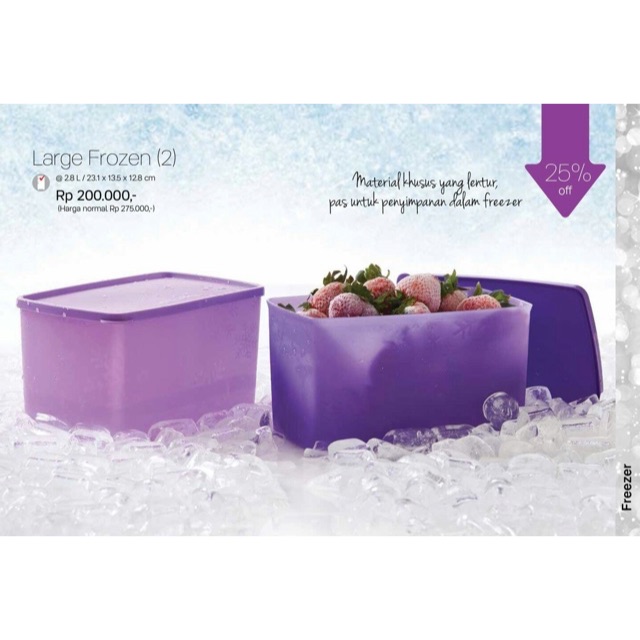 tupperware large frozen | Shopee Malaysia