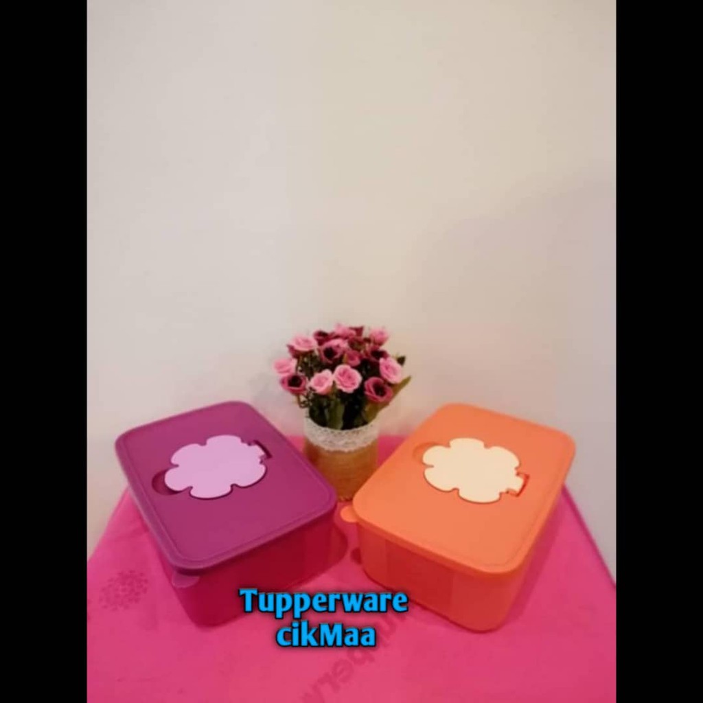 Tupperware Tissue Box | Shopee Malaysia