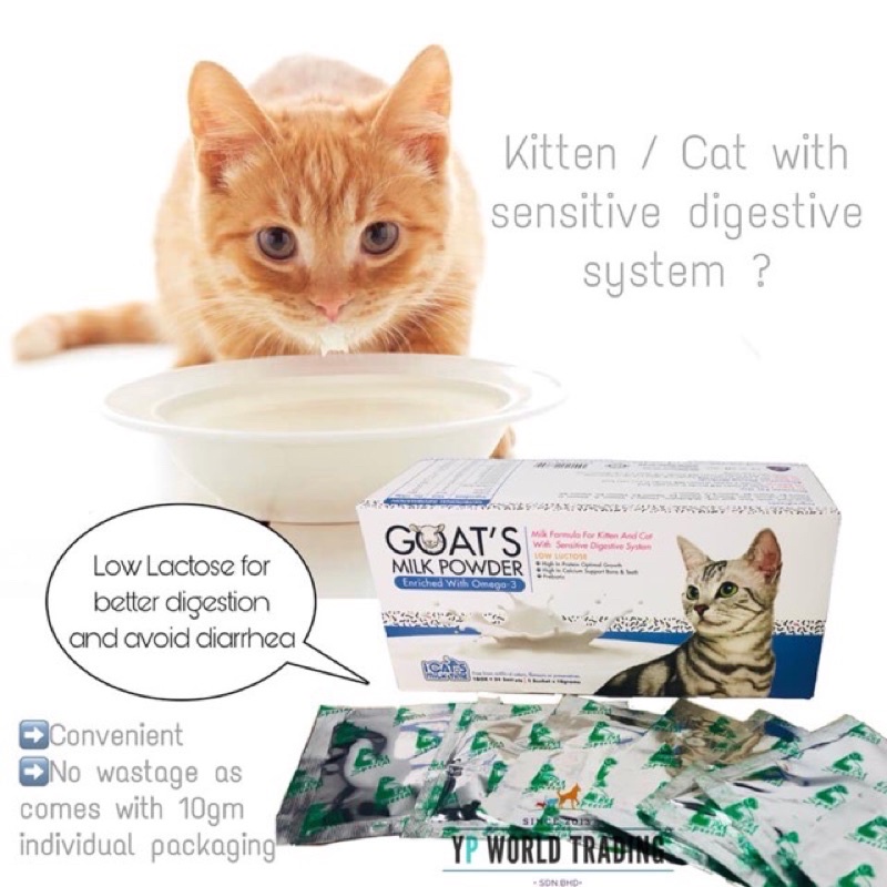 Goat Milk Powder Icats High Protein High Calcium ICat Shopee Malaysia