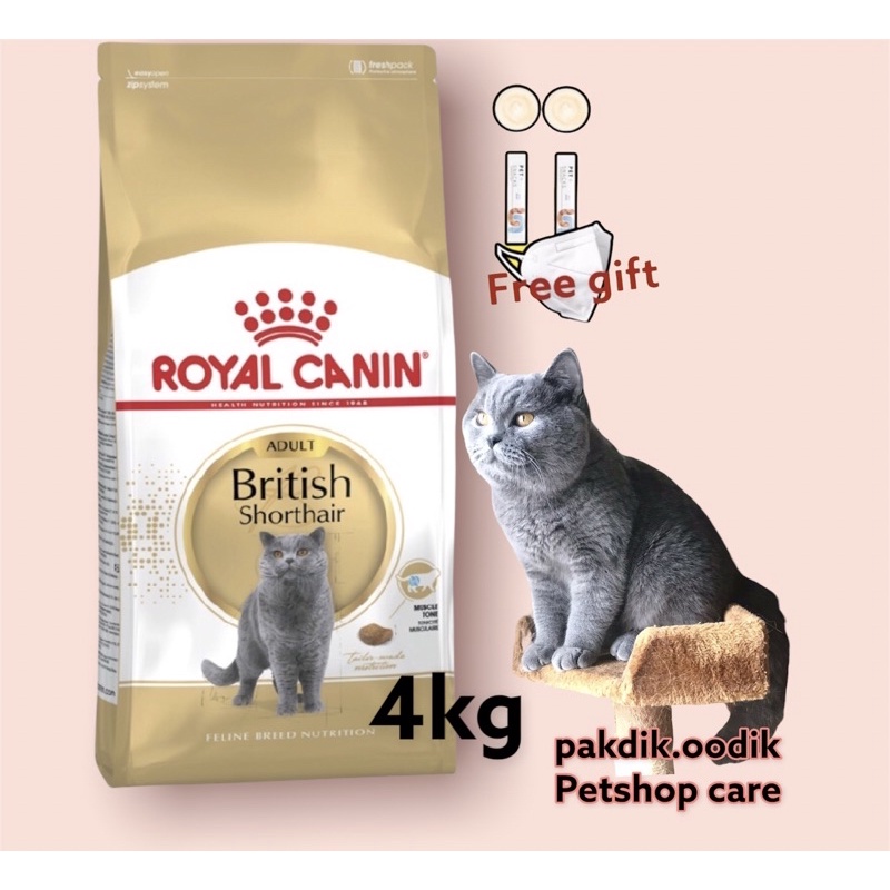 Royal canin store british shorthair 4kg