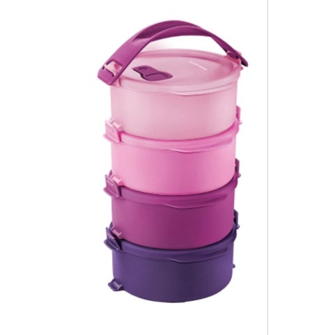 Tupperware Tiffin Set 450ml | Shopee Malaysia