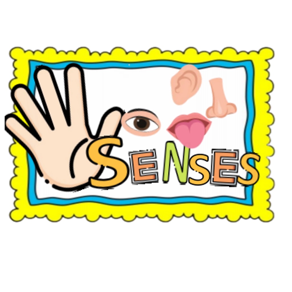 Quiet Book& Busy Book-Five Senses Themed Book- Science-Montessori ...