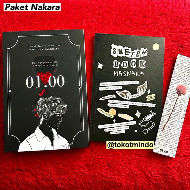 Ameylia Falensia 00.00 novel narrative structure