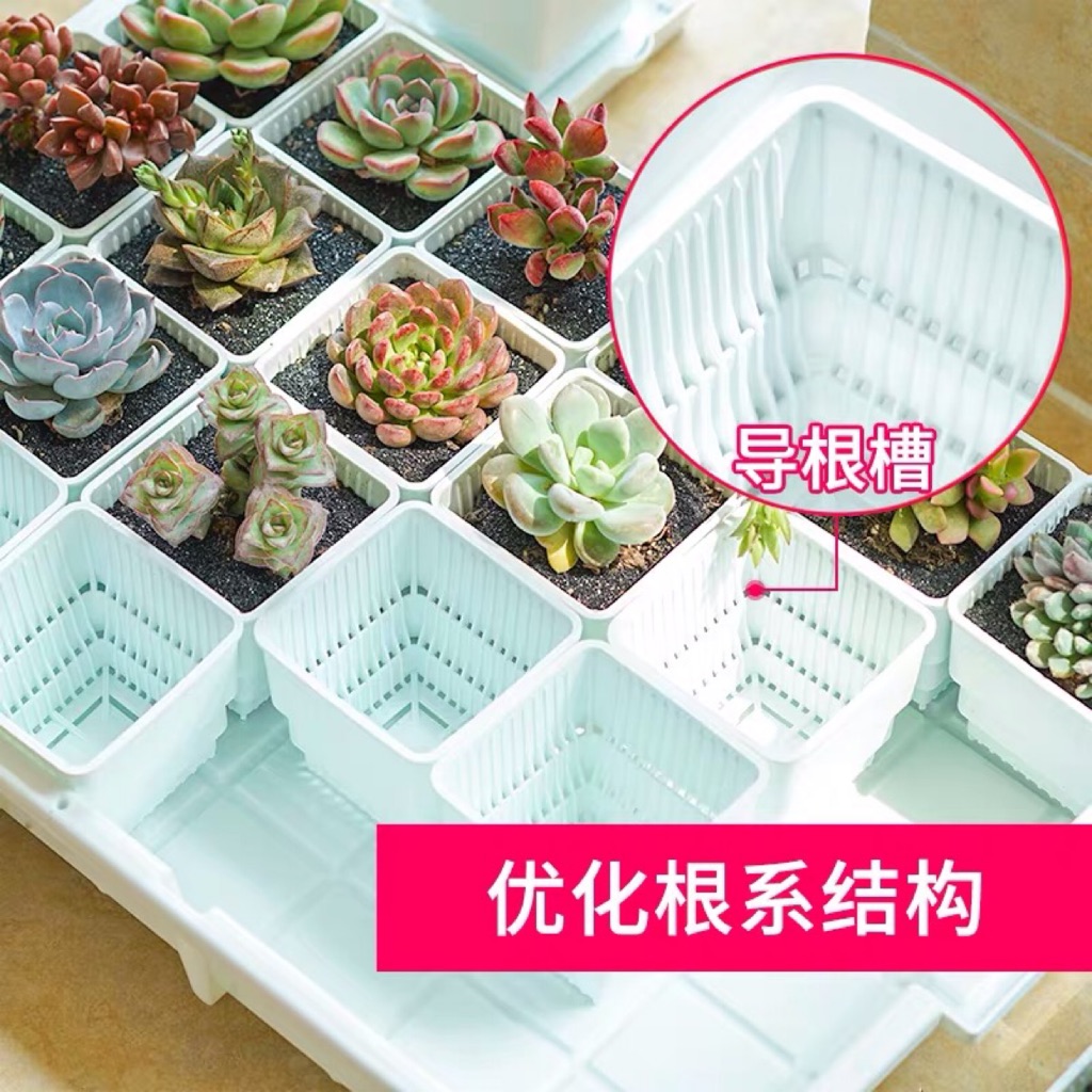 Succulent pot | flower pot | mesh pot | root control: with tray ...
