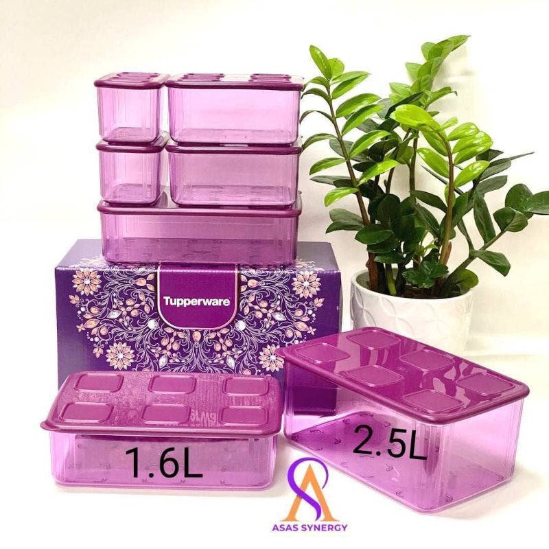 🔥Tupperware🔥 Fresh & Clear Set | Shopee Malaysia
