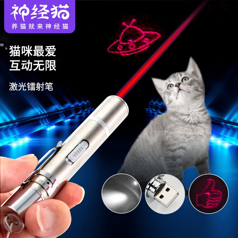 Laser Cat Stick Infrared Laser Pointer Laser Lamp Rechargeable Self Hi   E8e654f8e4b05cd253ef384321fab6c7