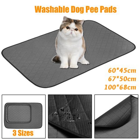 Kitten training pads hotsell