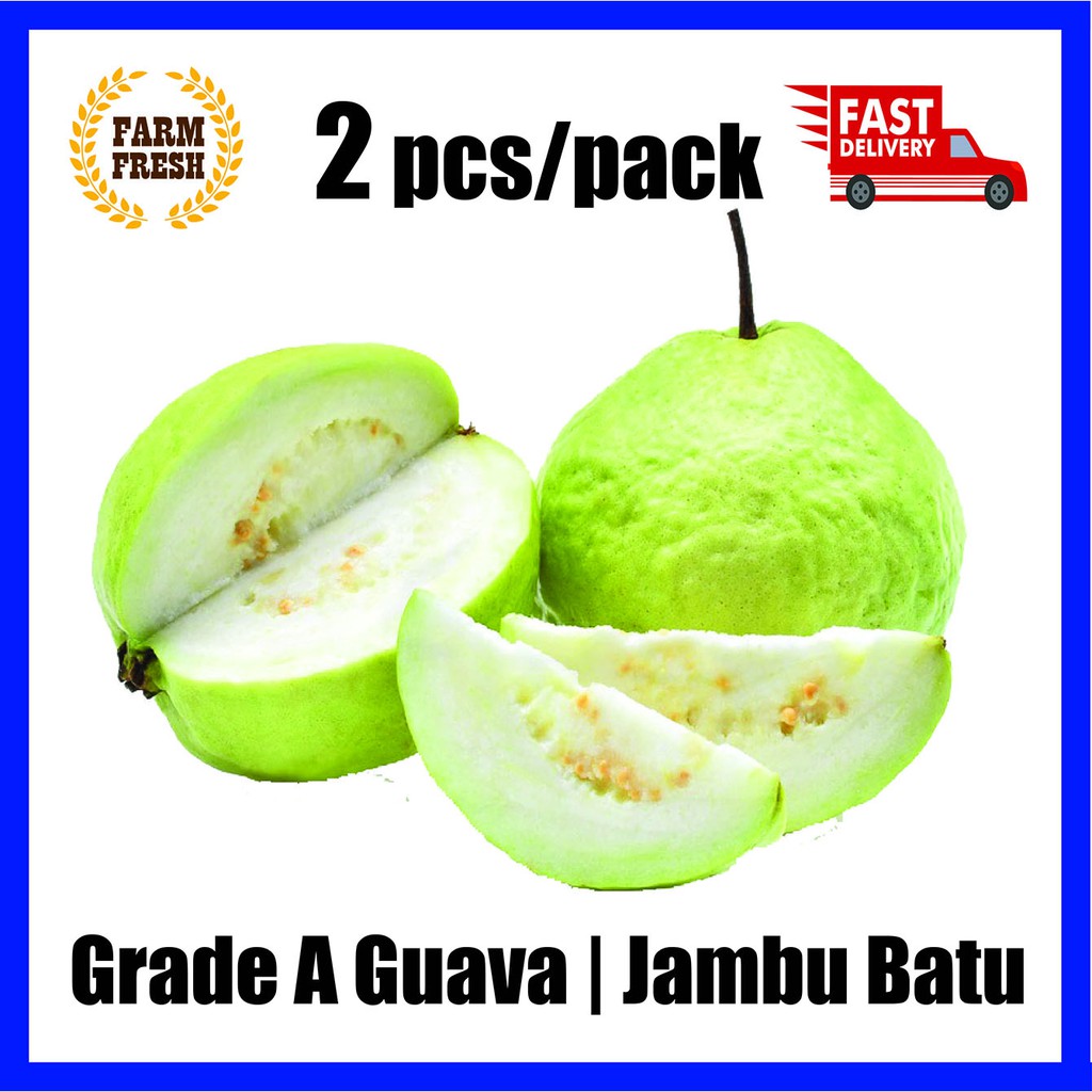 Jambu Batu Gred A | Guava Grade A | 番石榴 | 2 pcs/pack | Healthy Food ...