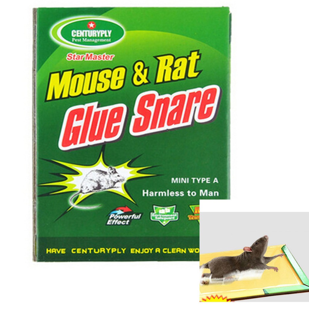 Max Sticky Glue Mice Traps Board Mouse Rat Bugs Safe Trapper Rodent Rat ...