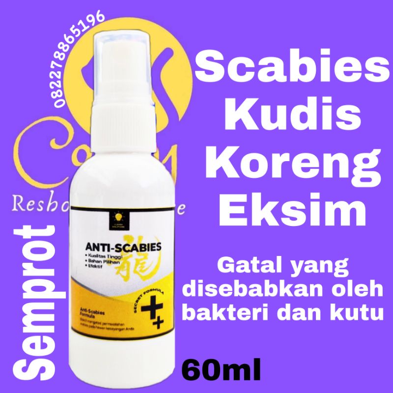 Medicine For Cat Rabbit Fungus SCABIES Demodex Impetigo Mushroom Flea ...