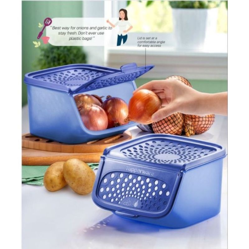 Tupperware Garlic N All Keeper 2.3L