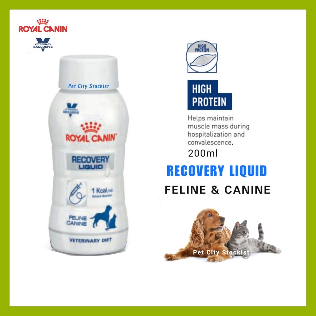 Offer [ EXP 2/12/2023 ] Recovery Liquid For Feline & Canine 200ml