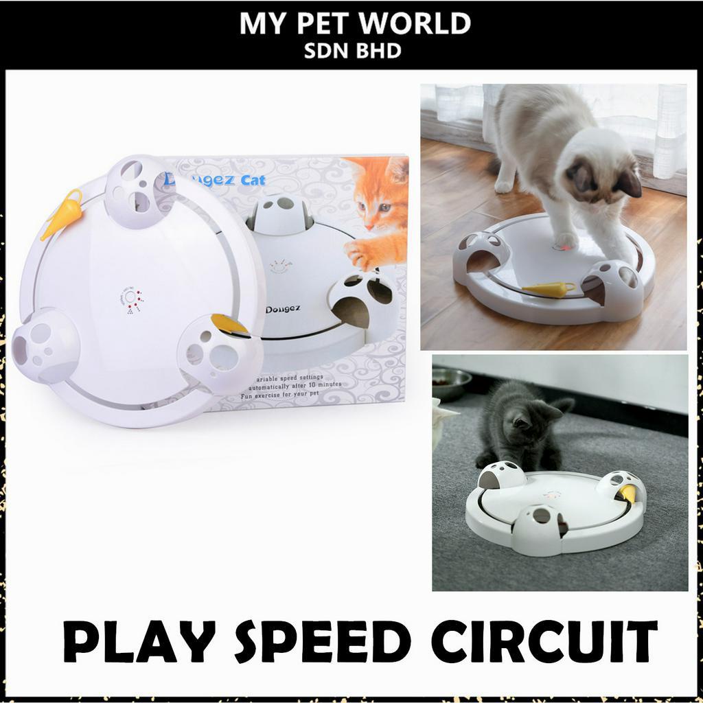 Pet World Cat Kitten Hidden Running Spinning Mouse Cat Toy / Play Speed Circuit Shopee Malaysia