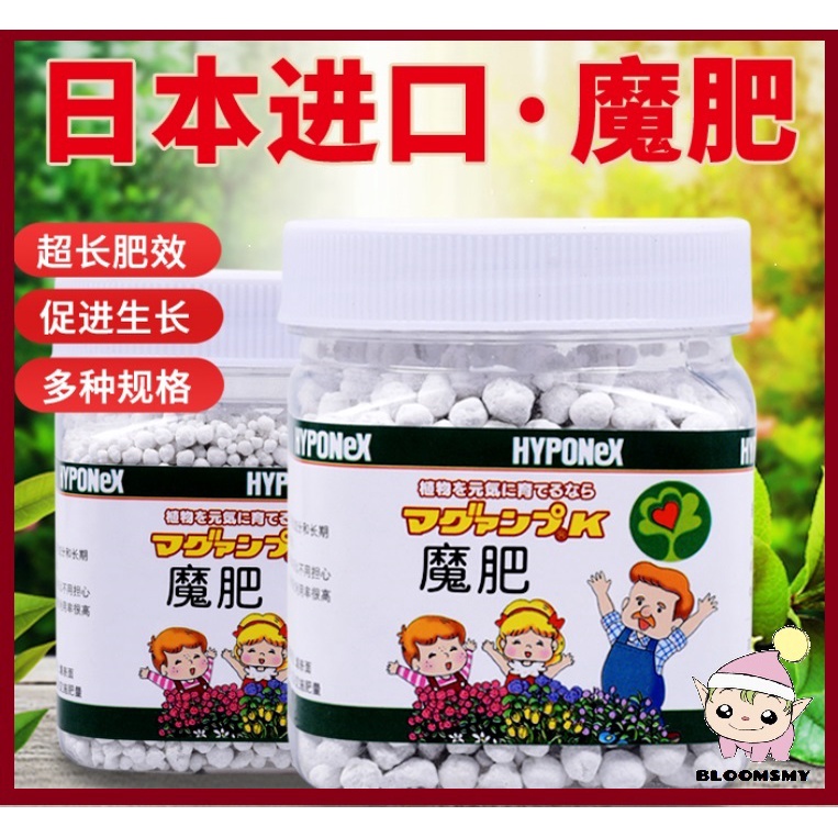 *BloomsMY* HYPONEX Slow Release Flowering Orchid Fertilizer/ Baja ...