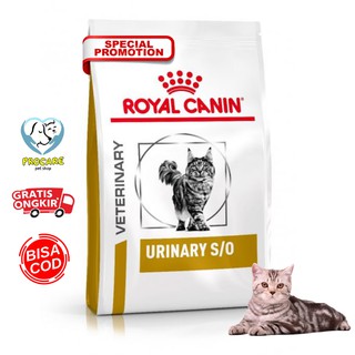 Royal canin urinary so best sale cat food best price