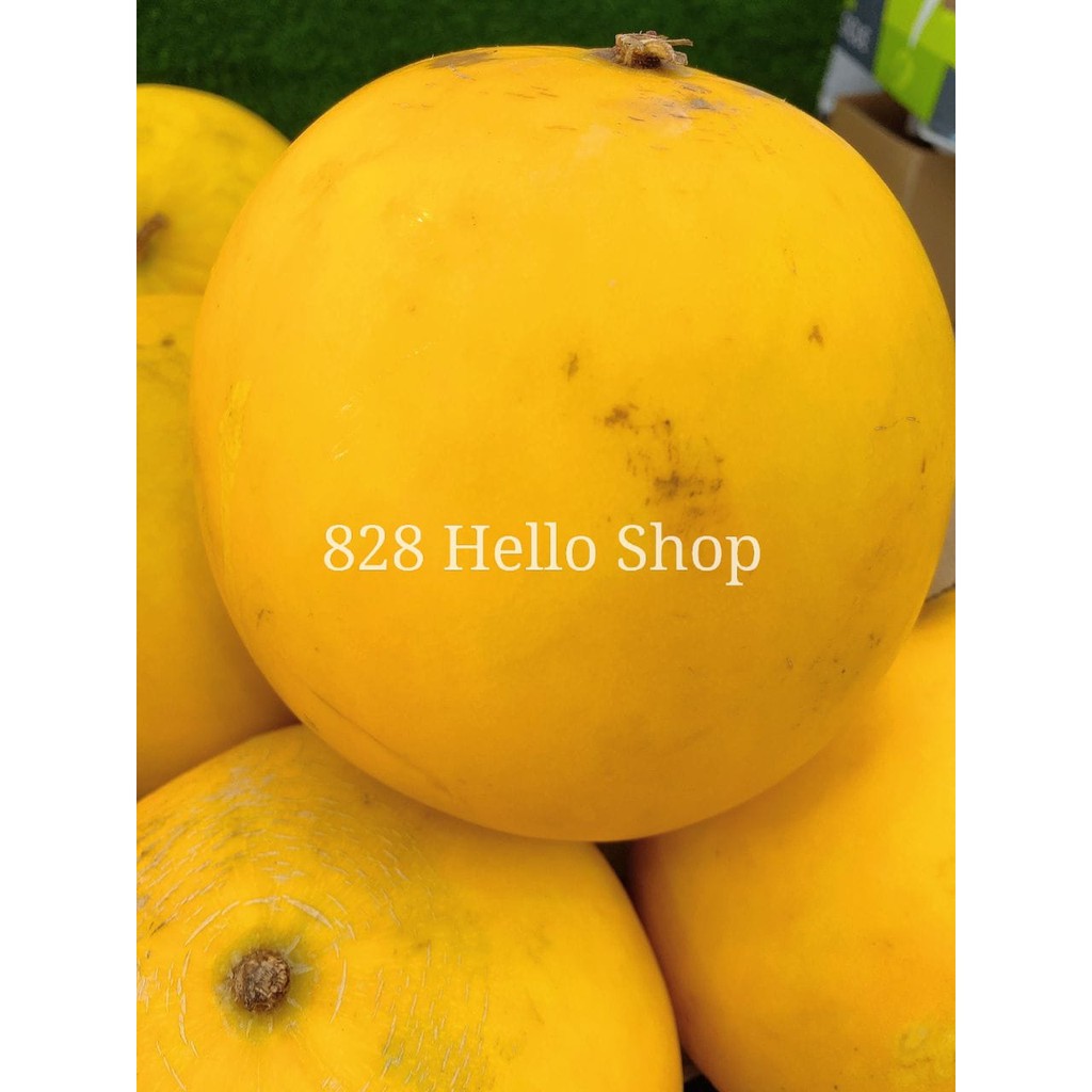 Malaysia Golden Melon (1pc/1.5kg + ) (Delivery in JB area only