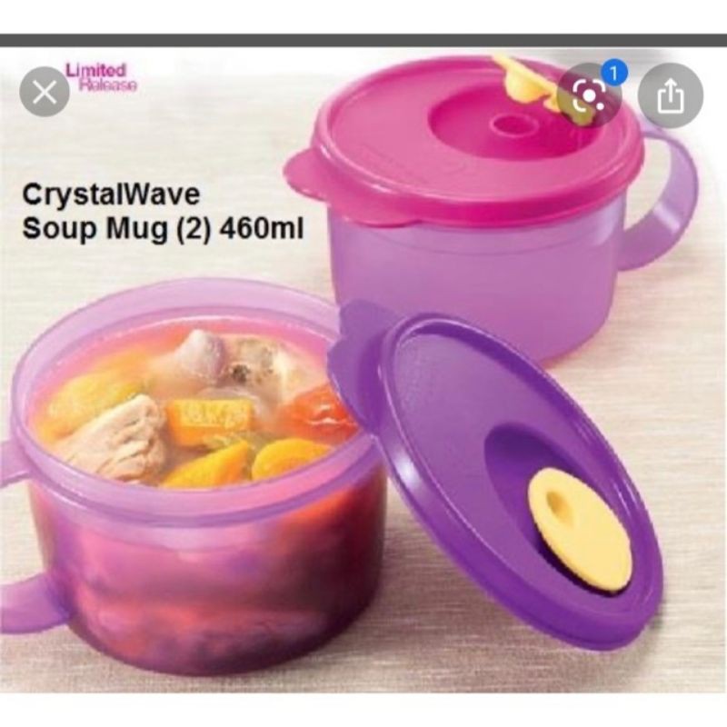 CrystalWave Soup Mug (2) 460ml