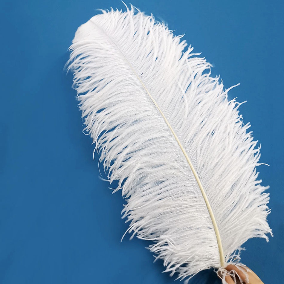 White ostrich deals feathers for sale