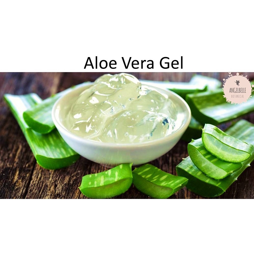 Aloe Vera Gel 500g . | Shopee Malaysia