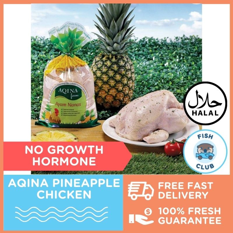 Aqina Pineapple Enzyme Chicken / Ayam Nanas Shopee Malaysia