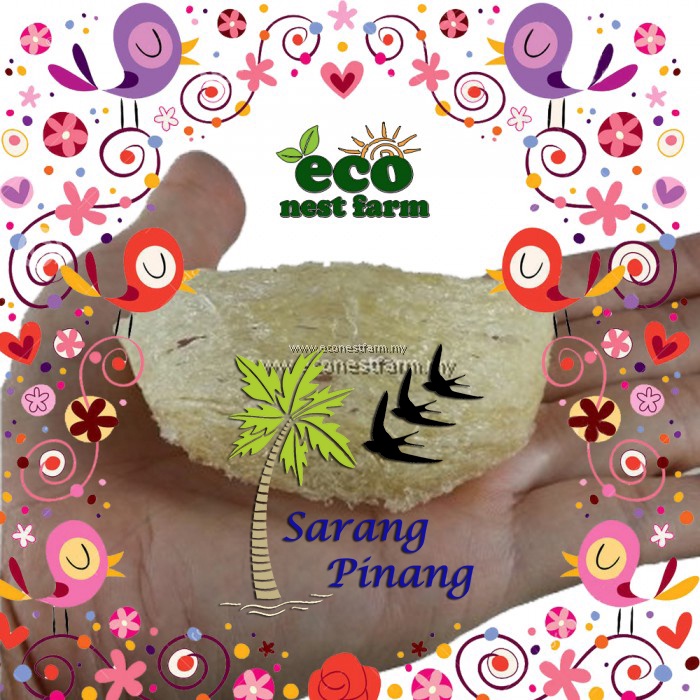 BIRD NEST GRADE A RAW CLEANED SARANG PINANG FULL PIECE 1S 金丝燕窝槟榔净燕盏1粒