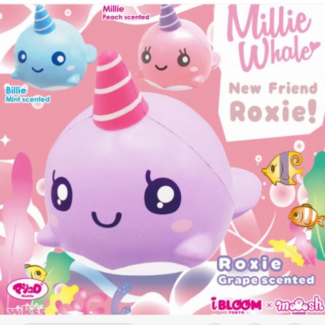 Squishy millie the store whale