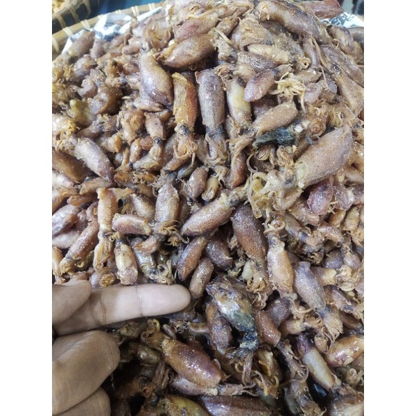 Sotong Kering Cumi Cumi Sabah Fresh Malaysia Dried Squid Sotong Bulat