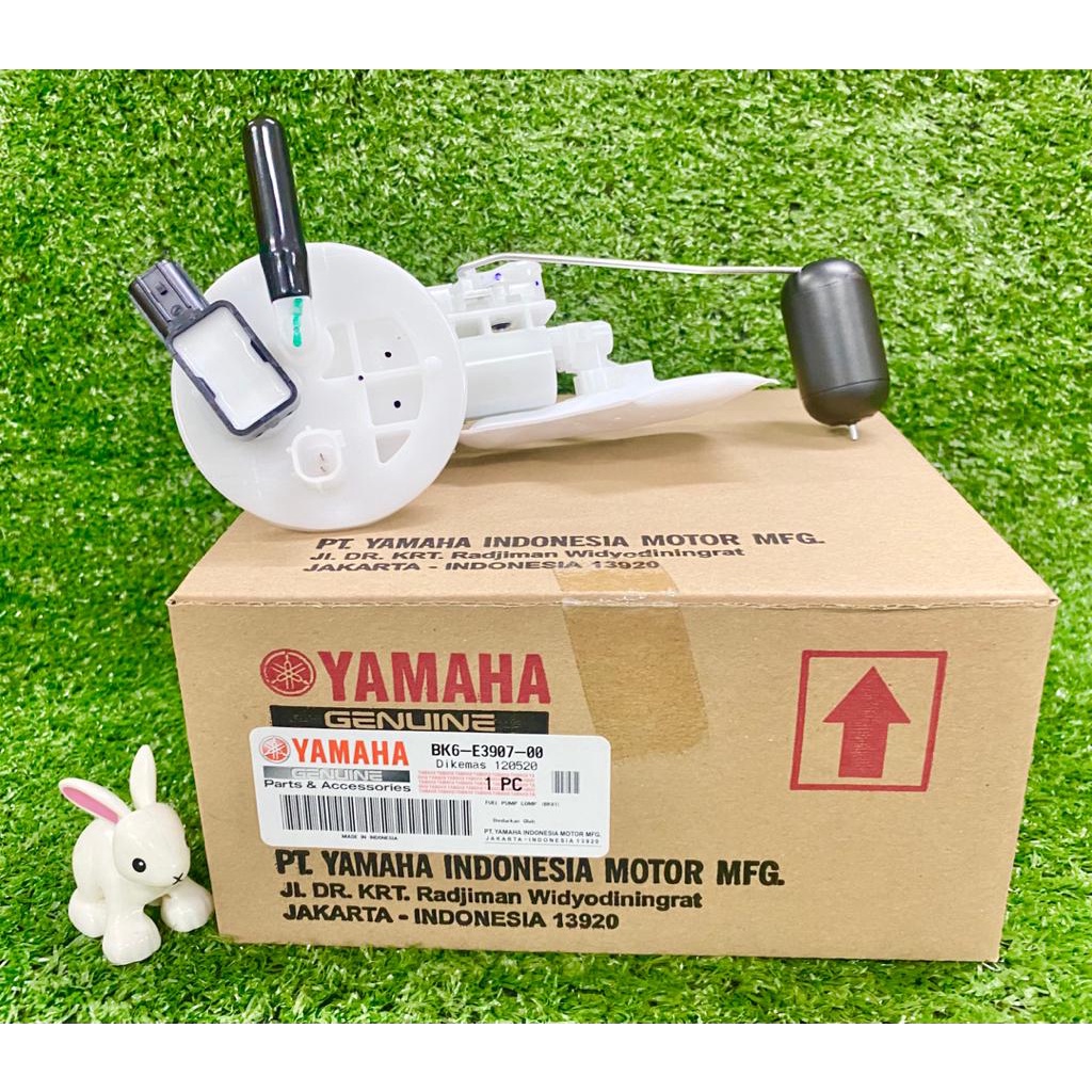 Yamaha r15 v3 fuel pump online price