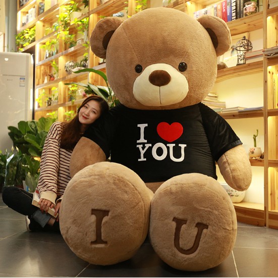Big teddy doll shop